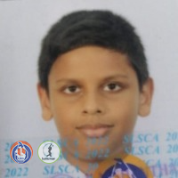 SLSCA Scoring